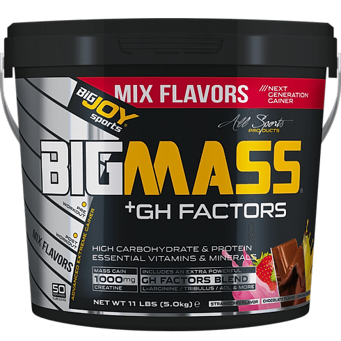BİGJOY GH MASS 5 KG MİX