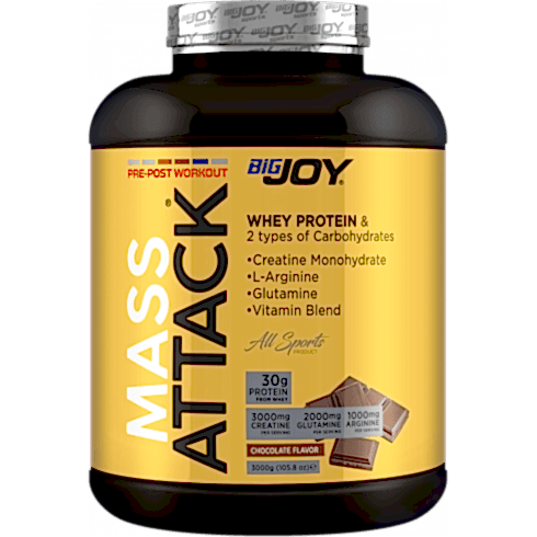 Bigjoy Sports Mass Attack 3000gr